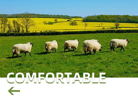 1653231558128523.jpg 2.jpg