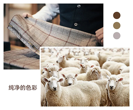 1653231581122769.jpg 4.jpg